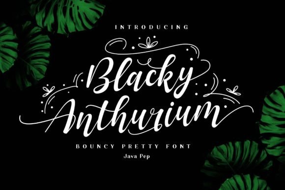Blacky Anthurium Font for Handmade Branding