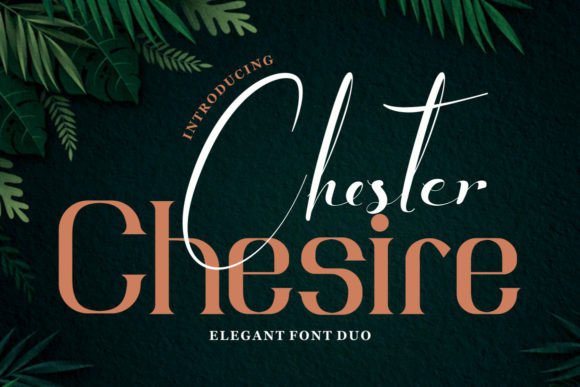 Elevate Your Brand with Chester Chesire Typeface
