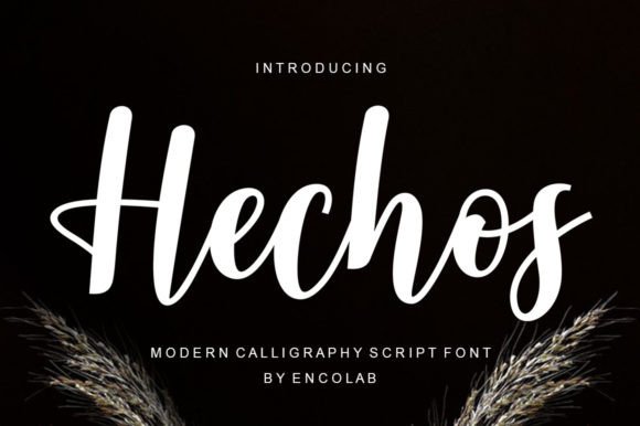 Hechos Font Review: Elegant Script for Branding and Design
