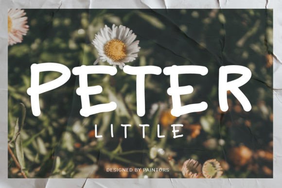 Peter Little Font Review: Elevating Campaign Visuals