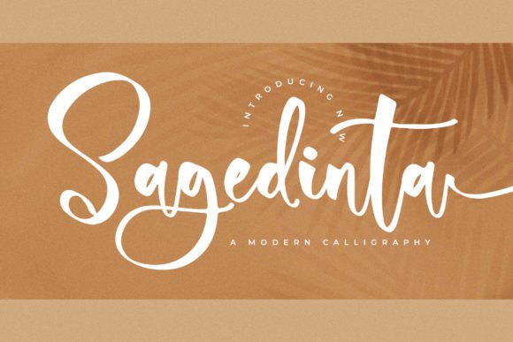 Sagedinta: The Modern Script Typeface for Branding